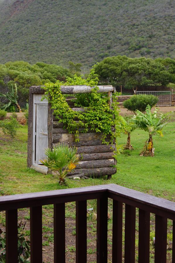 Le Gîte du Koniambo Voh Extérieur photo