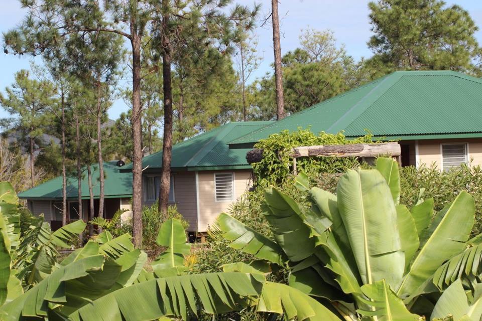 Le Gîte du Koniambo Voh Extérieur photo