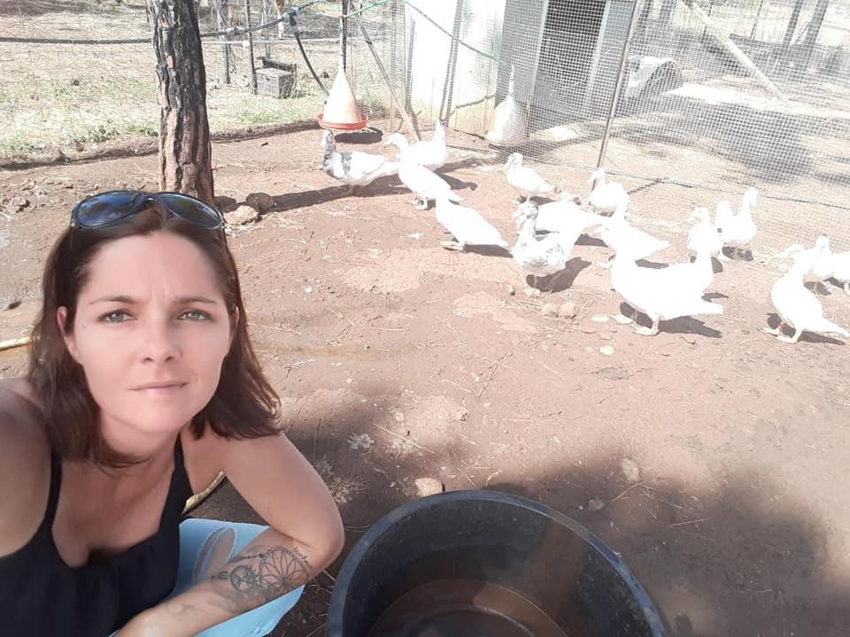 Le Gîte du Koniambo Voh Extérieur photo
