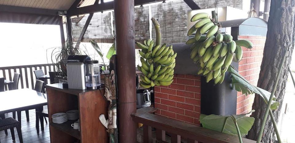 Le Gîte du Koniambo Voh Extérieur photo