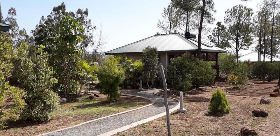 Le Gîte du Koniambo Voh Extérieur photo